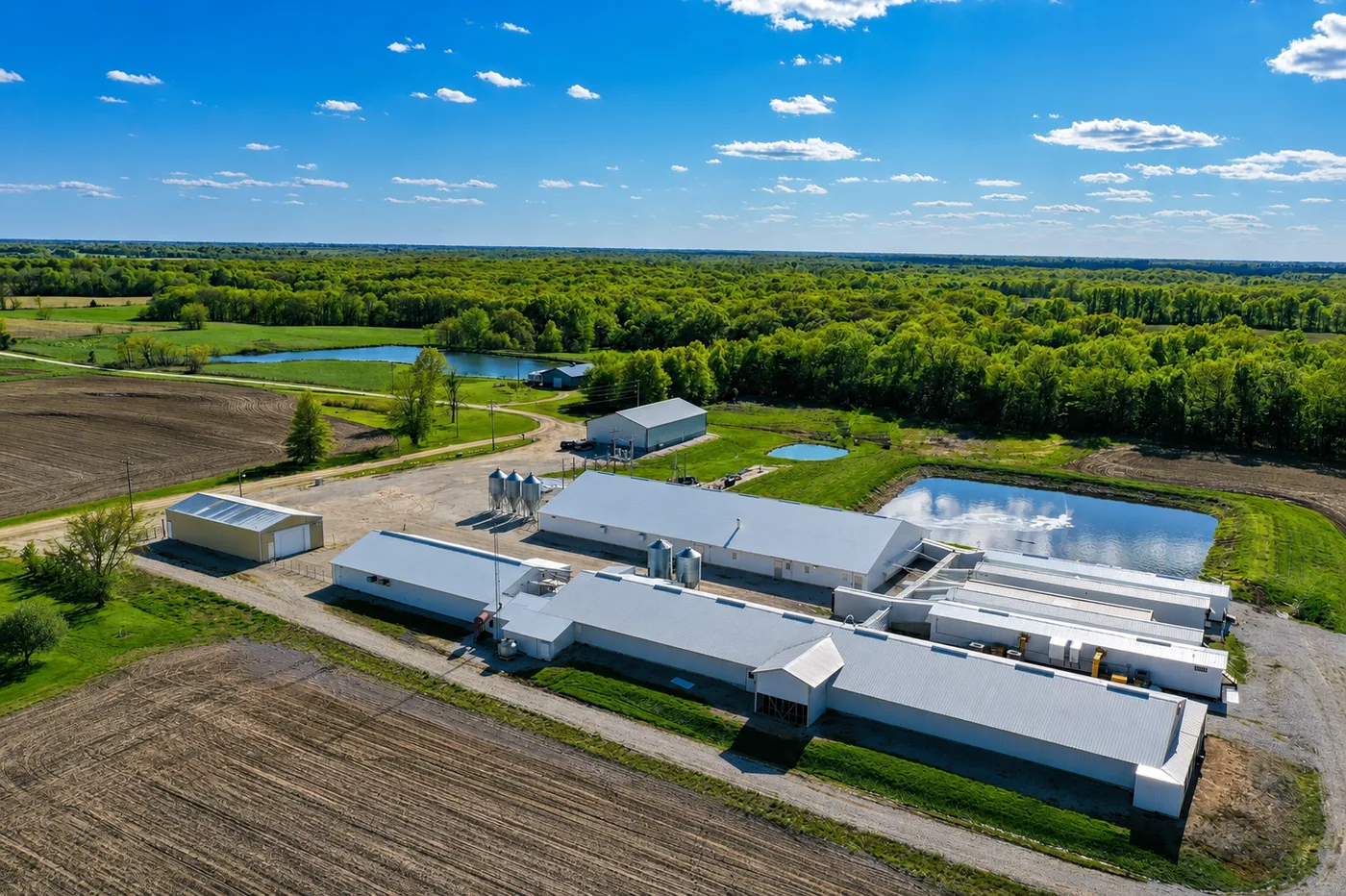 Aerial view of BoarMax boar stud facility